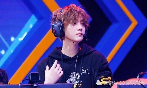 吃瓜娱乐圈鹿晗,娱乐圈的瓜田,他的成长与蜕变